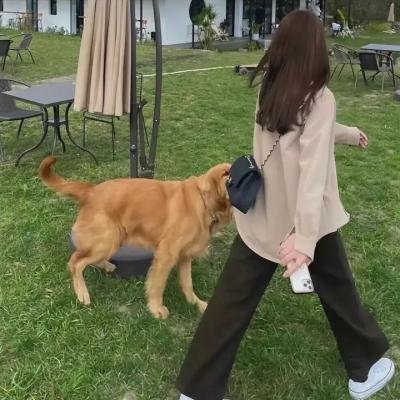英伦式丑闻