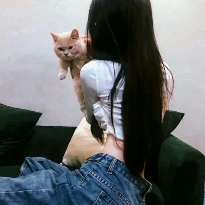 洛奇6
